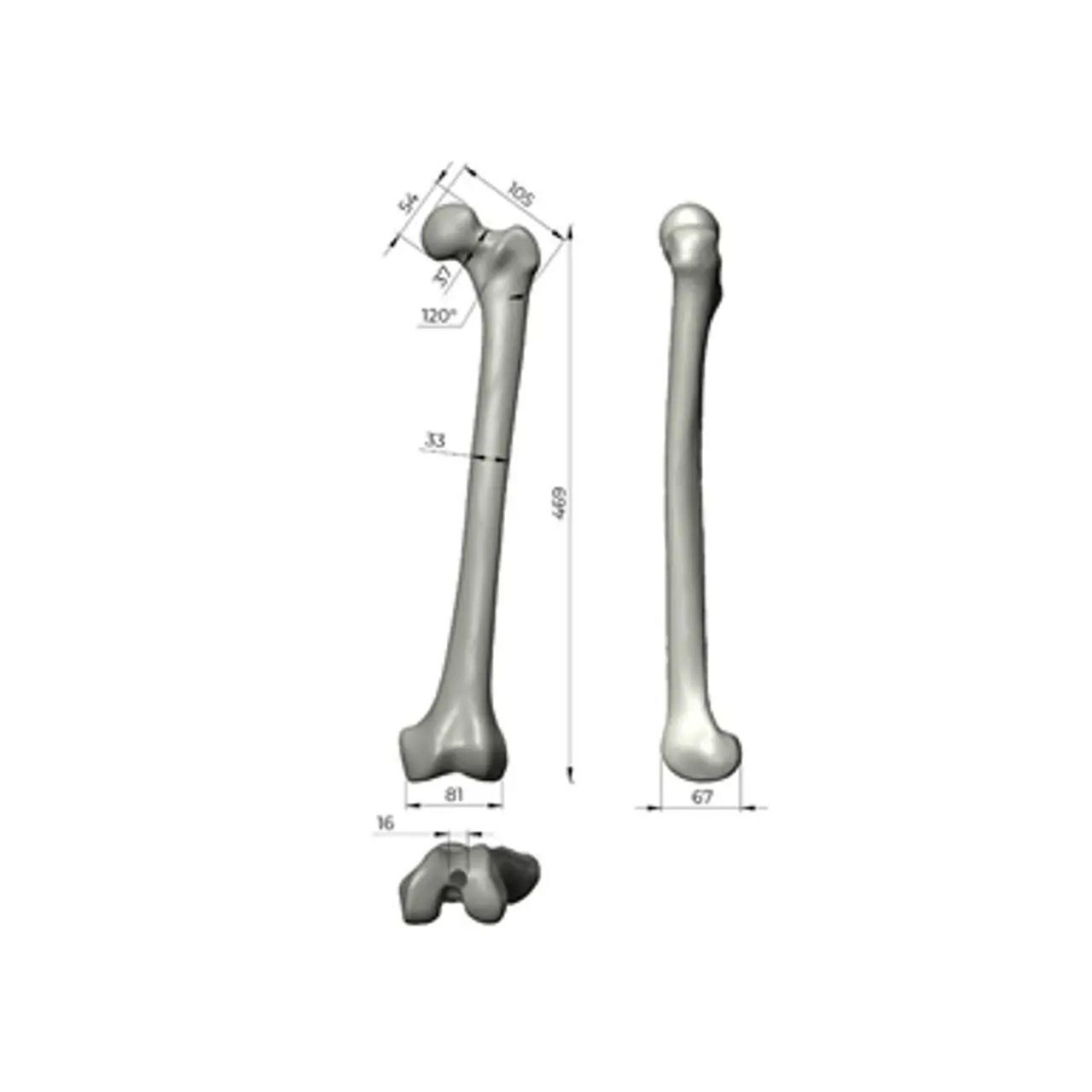 人工骨模型 3406 - 图片 6